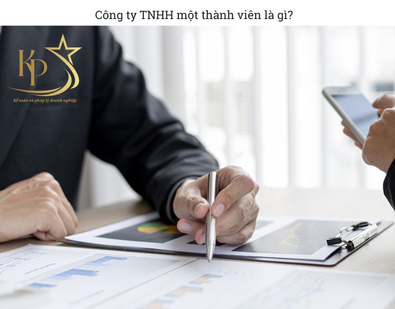 Công ty TNHH một thành viên là gì