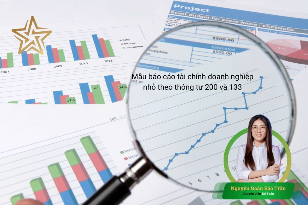 Mẫu báo cáo tài chính doanh nghiệp nhỏ theo thông tư 200 và 133