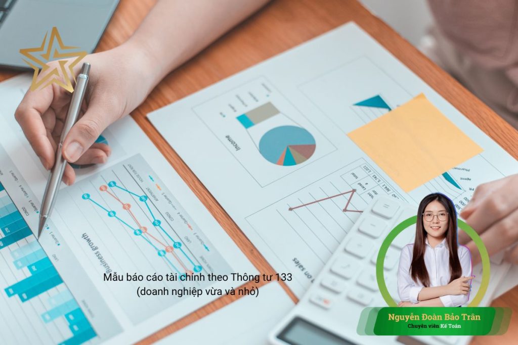 Mẫu báo cáo tài chính theo Thông tư 133 (doanh nghiệp vừa và nhỏ) Mẫu báo cáo tài chính theo Thông tư 133 (doanh nghiệp vừa và nhỏ)